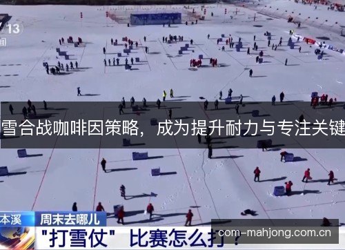 雪合战咖啡因策略，成为提升耐力与专注关键