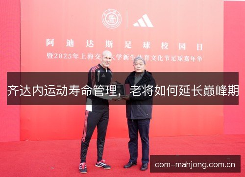 齐达内运动寿命管理,老将如何延长巅峰期 齐达内运动寿命管理,老将如何延长巅峰期